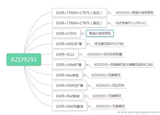 9291耐药后可能性.jpg