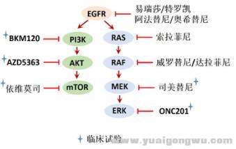 化学武器3.jpg