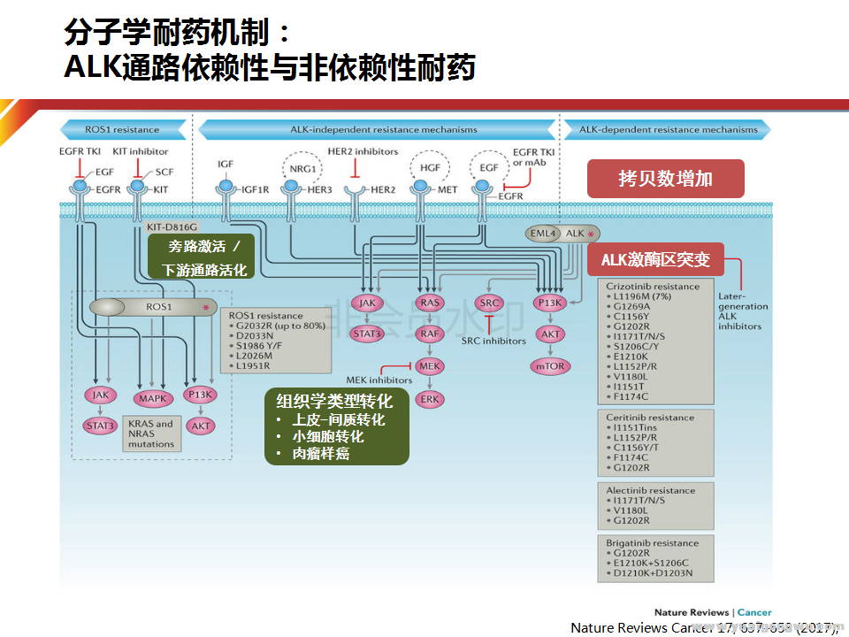 于雁--不一样的时代：ALK阳性非小细胞肺癌全程管理_43.png