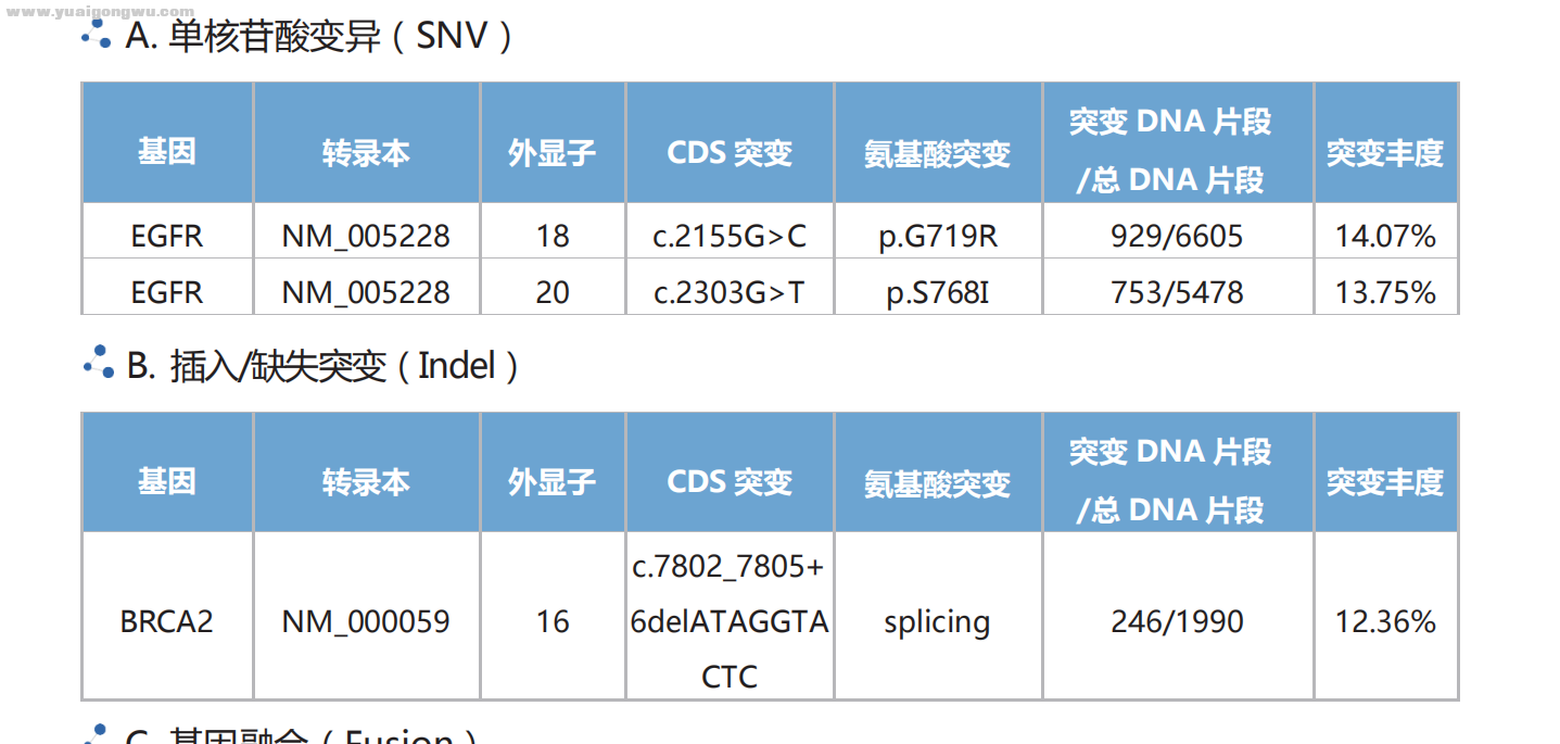 基因检测.png